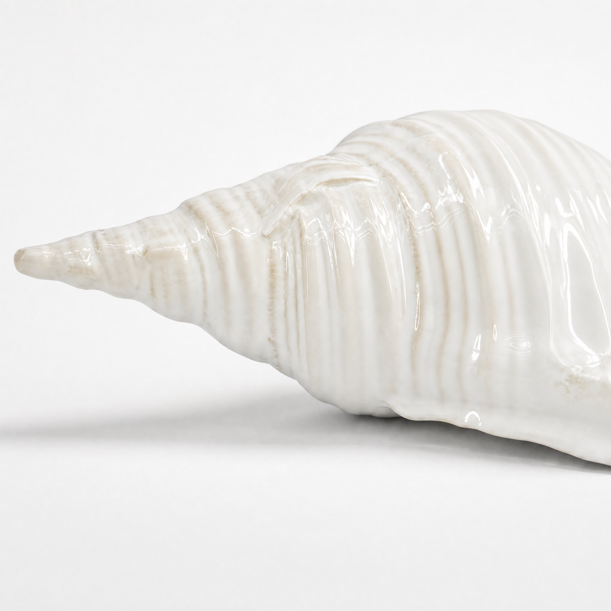 Ceramic Seashell