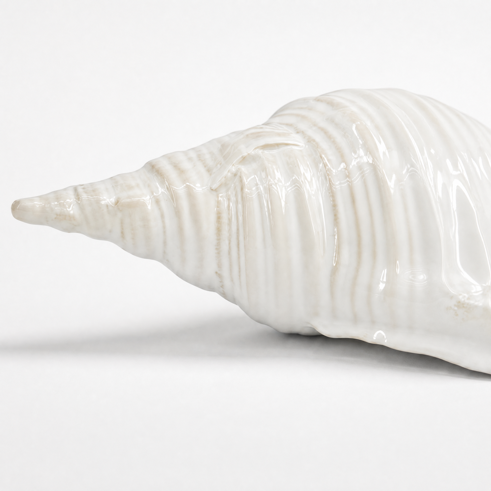 Ceramic Seashell