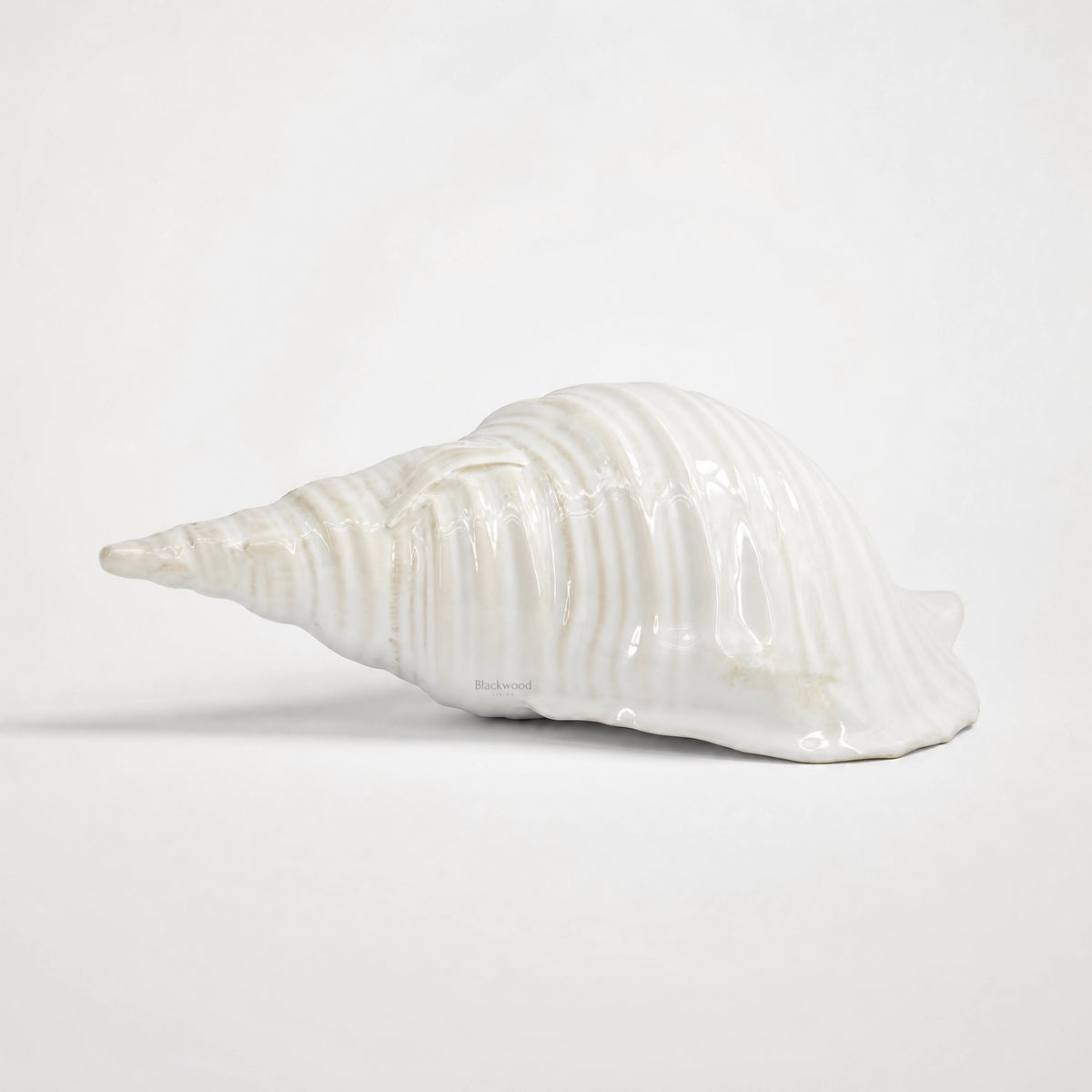 Ceramic Seashell sculpture in glossy white glaze with weathered detailing and organic texture.