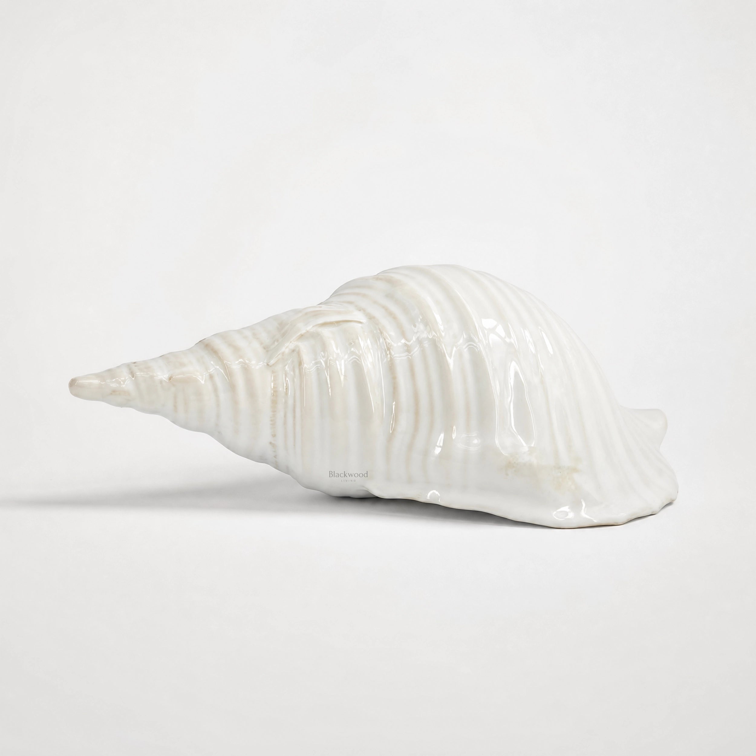 Ceramic Seashell sculpture in glossy white glaze with weathered detailing and organic texture.