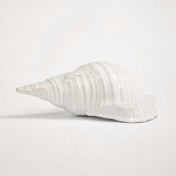 Ceramic Seashell sculpture in glossy white glaze with weathered detailing and organic texture.