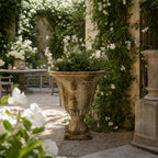 Versaille Urn with weathered marble-look finish amid climbing white flowers on a stone garden wall.