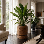 Woven banana leaf planter holding a large leafy plant in a sunlit living room with dark wood floors.