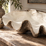Resin Clam Shell - Large