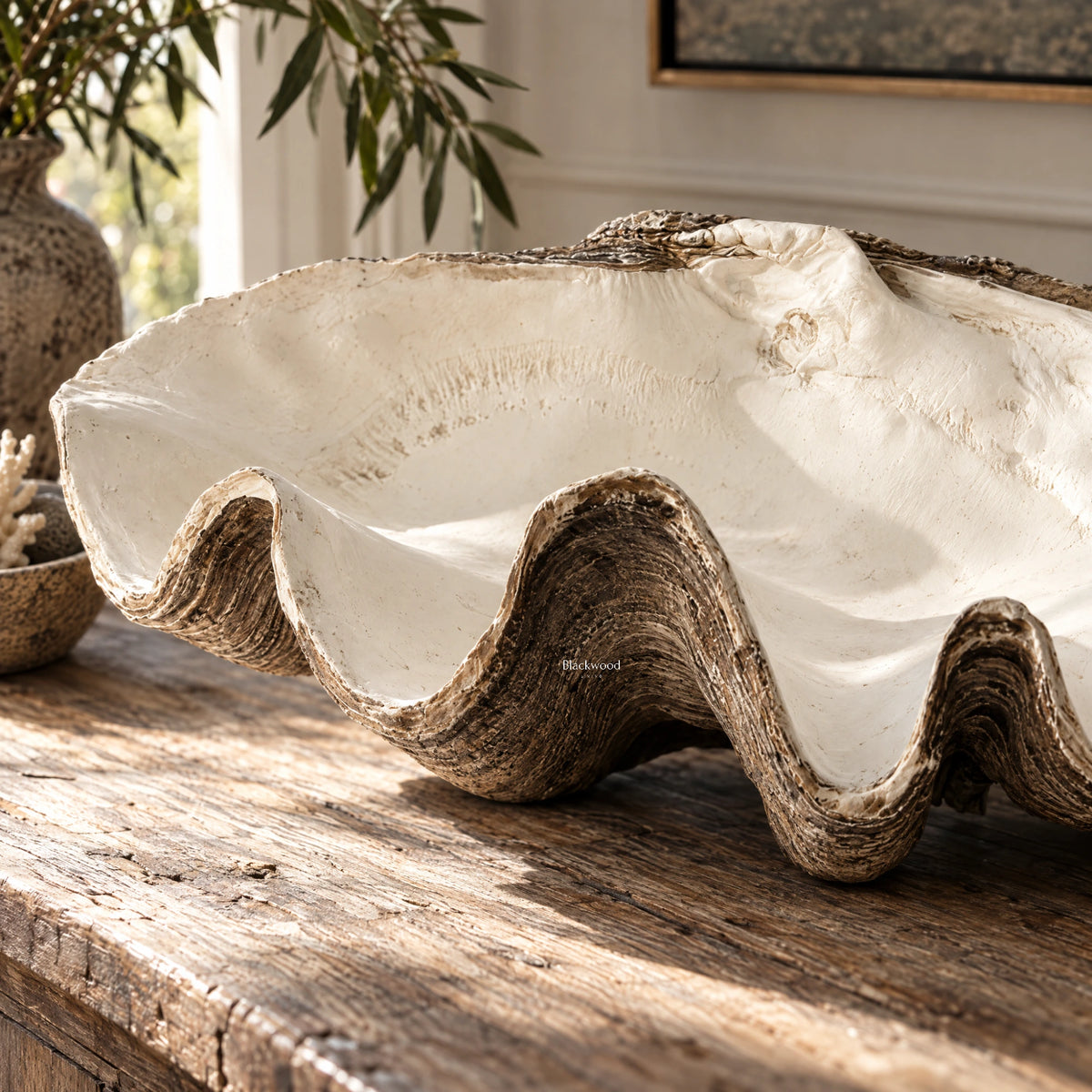 Large resin clam shell sculpture in warm ivory with earthy brown edges, featuring an undulating profile and aged texture on rustic wood.