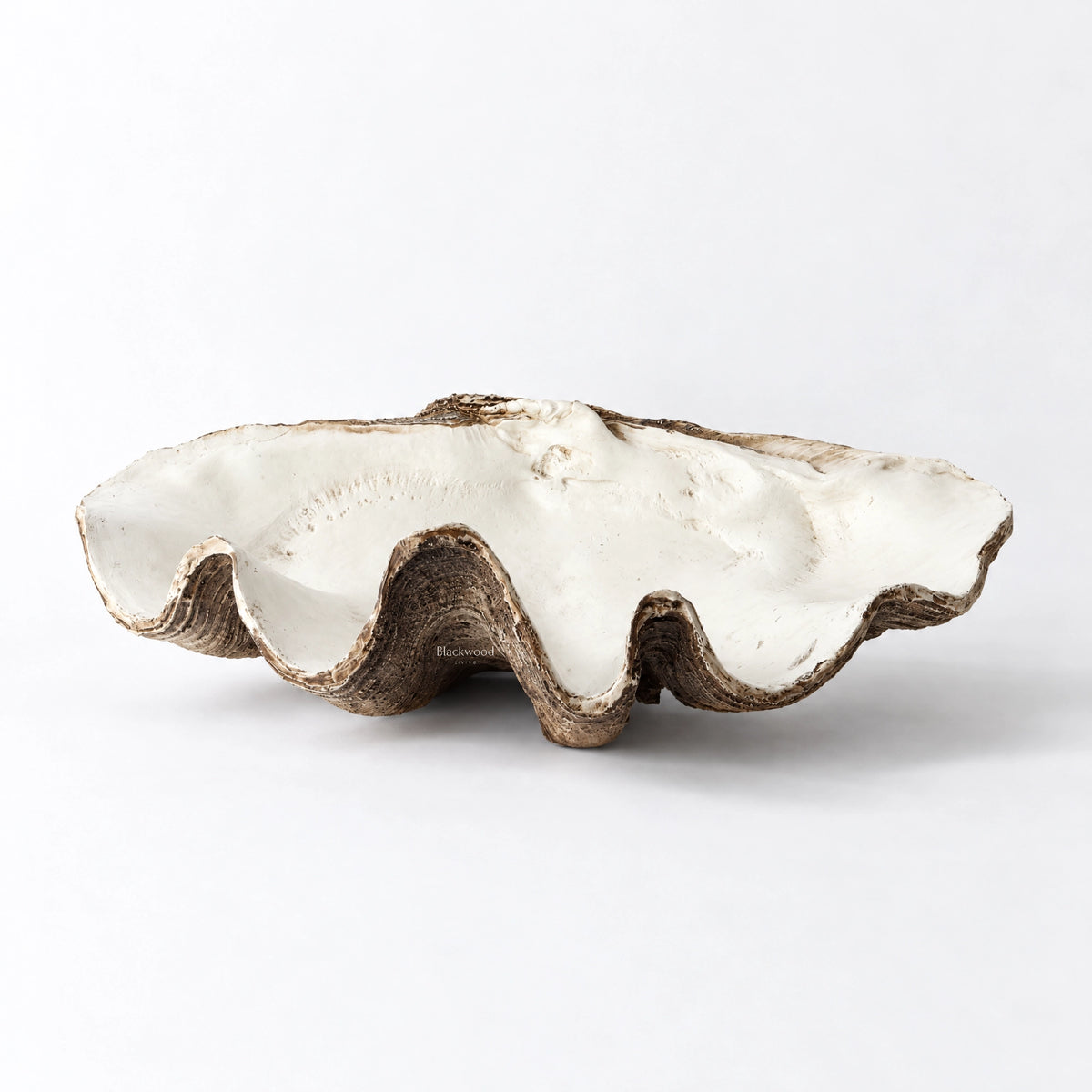 Large resin clam shell decor with undulating ivory interior and contrasting earthy brown edges, featuring an aged, sculptural profile.
