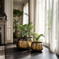 Jaipur Planters Set/2: two large antique-gold iron planters with palm plants by a sunlit window.