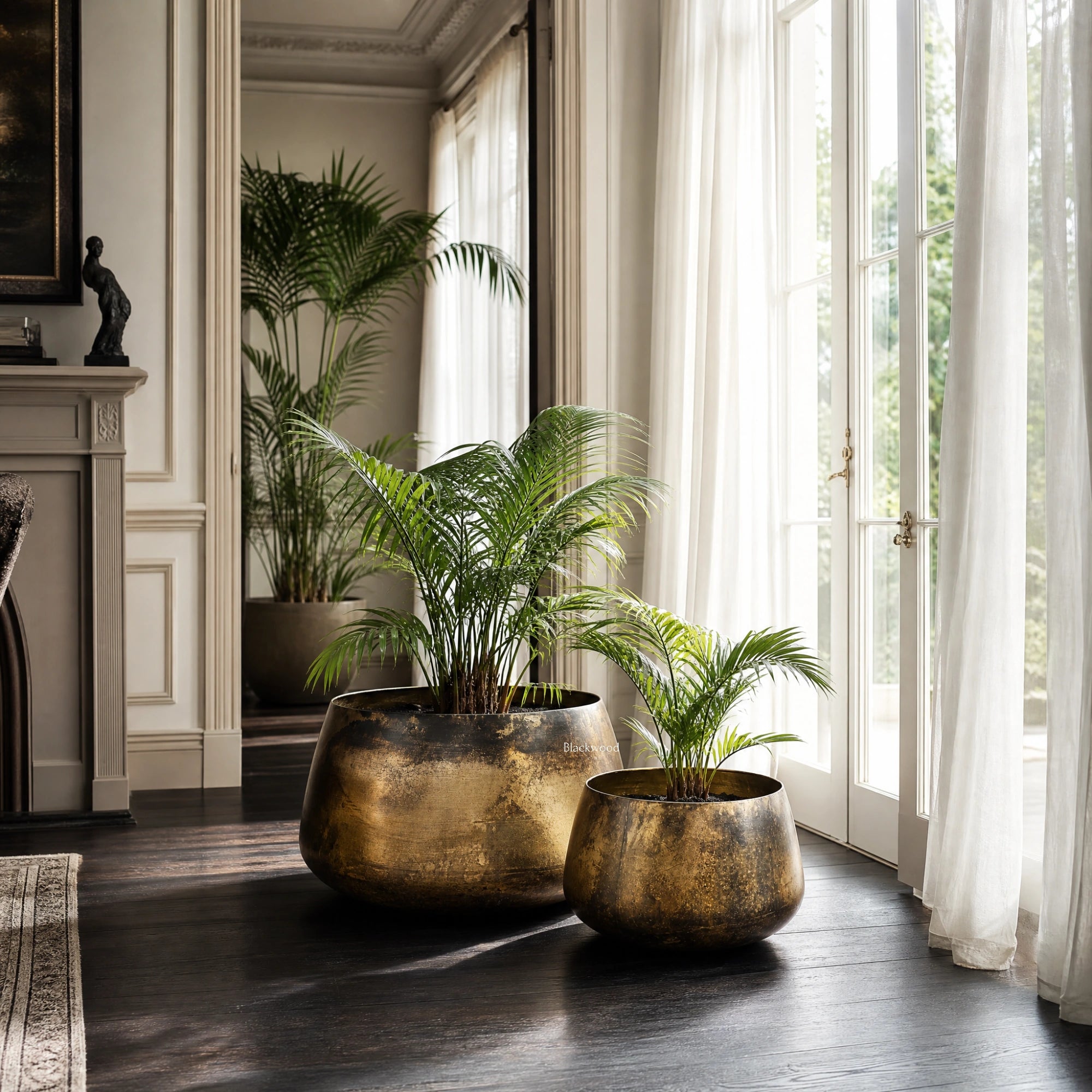 Jaipur Planters Set/2: two large antique-gold iron planters with palm plants by a sunlit window.