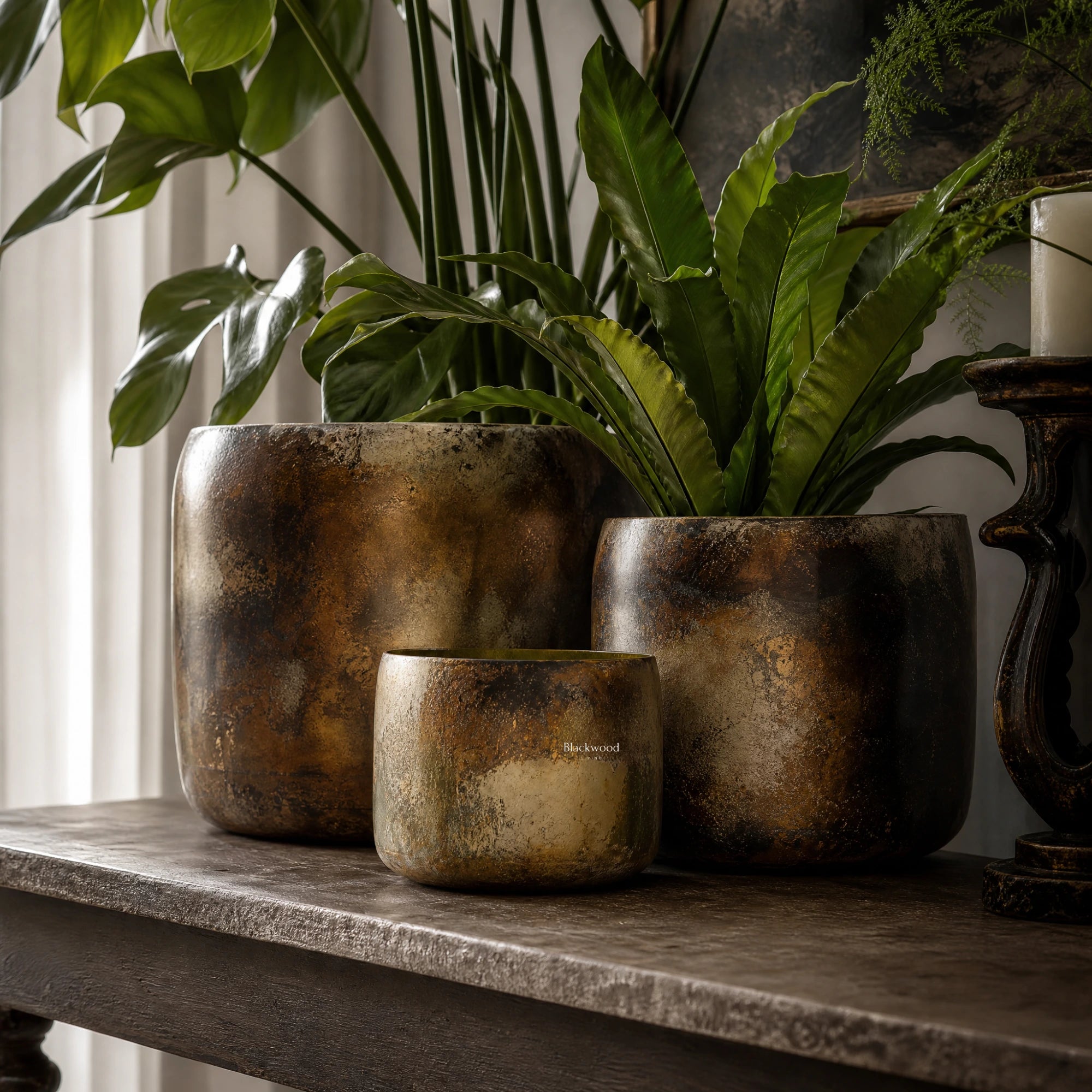 Raja Planters Set/3
